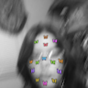 Meet your Posher, Niall